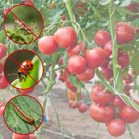 Unves detalle del tejido ultrafino que bloquea insectos