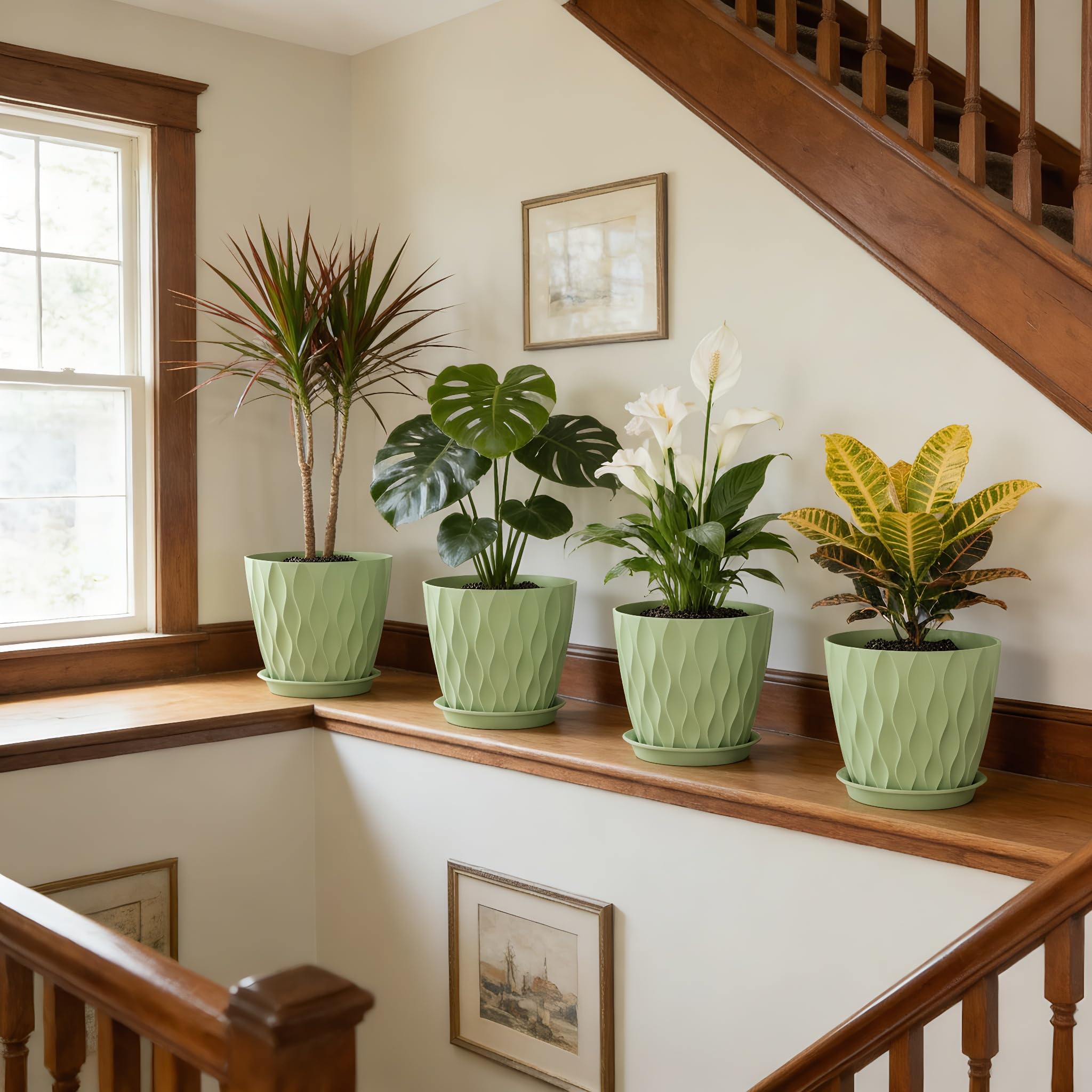UOUZ maceta con Monstera mostrando soporte para plantas grandes
