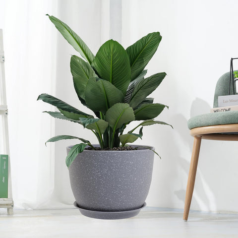 UOUZ detalle del color gris salpicado que integra con decoración
