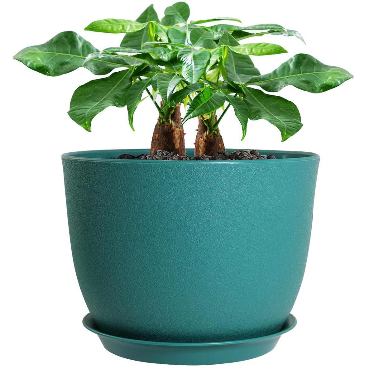 UOUZ maceta frontal elegante que realza la decoración y protege plantas