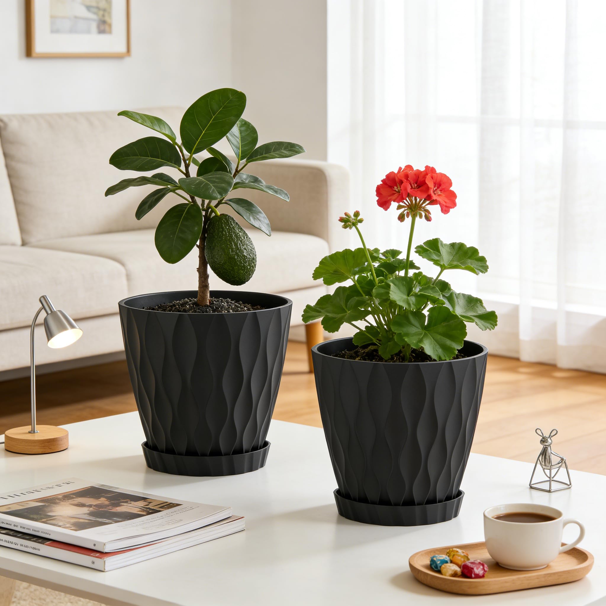 UOUZ maceta con Monstera demostrando espacio para raíces saludables