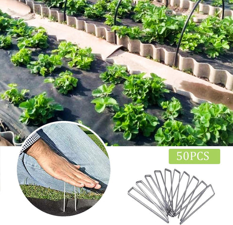 UPMCT grapa junto a regla para mostrar longitud de 12 pulgadas