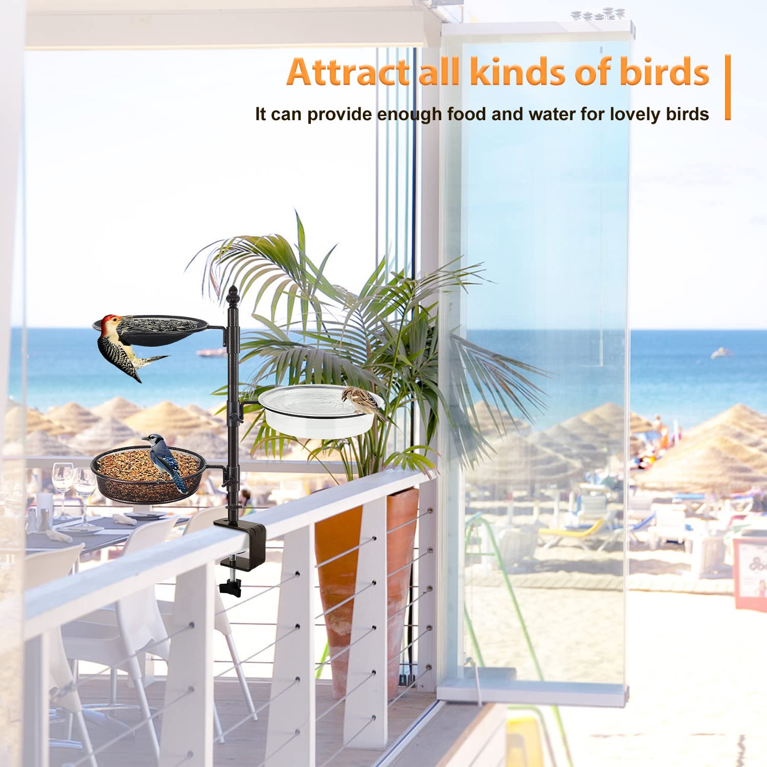 Urban Deco comedero en balcón con aves, mejora la observación y ambiente