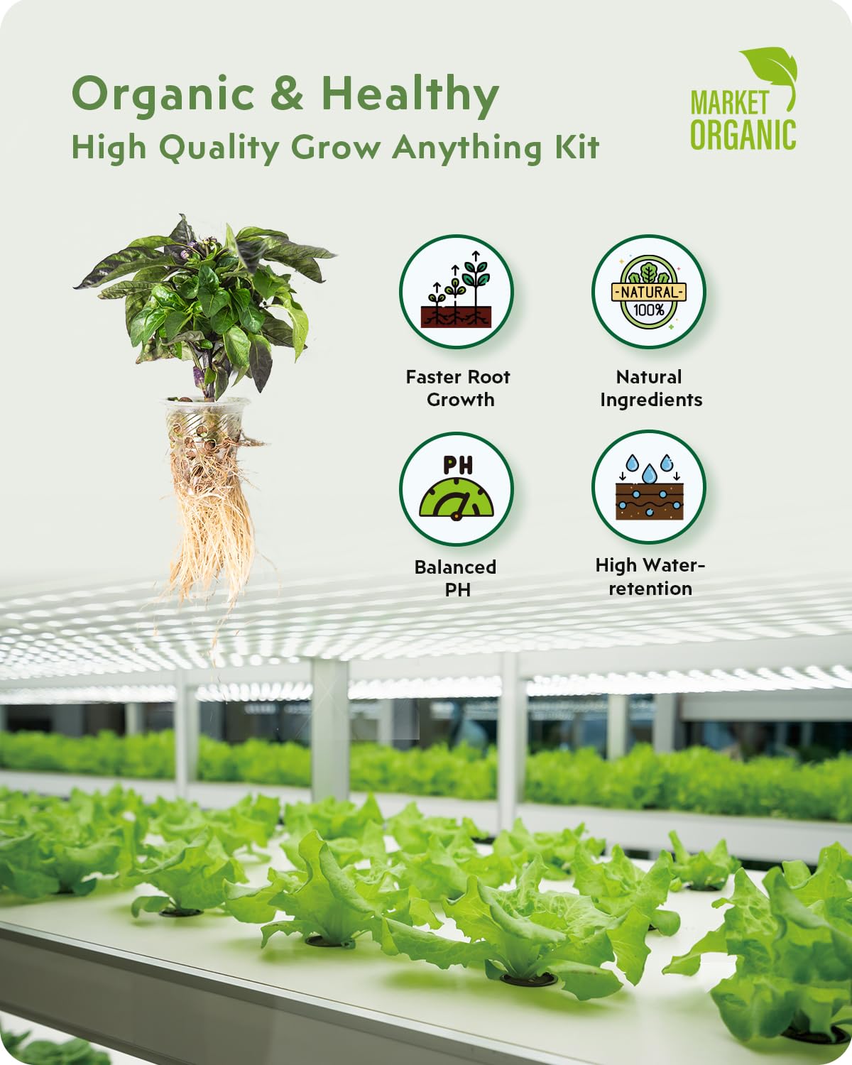 URUQ textura de esponja de cultivo que favorece enraizamiento estable