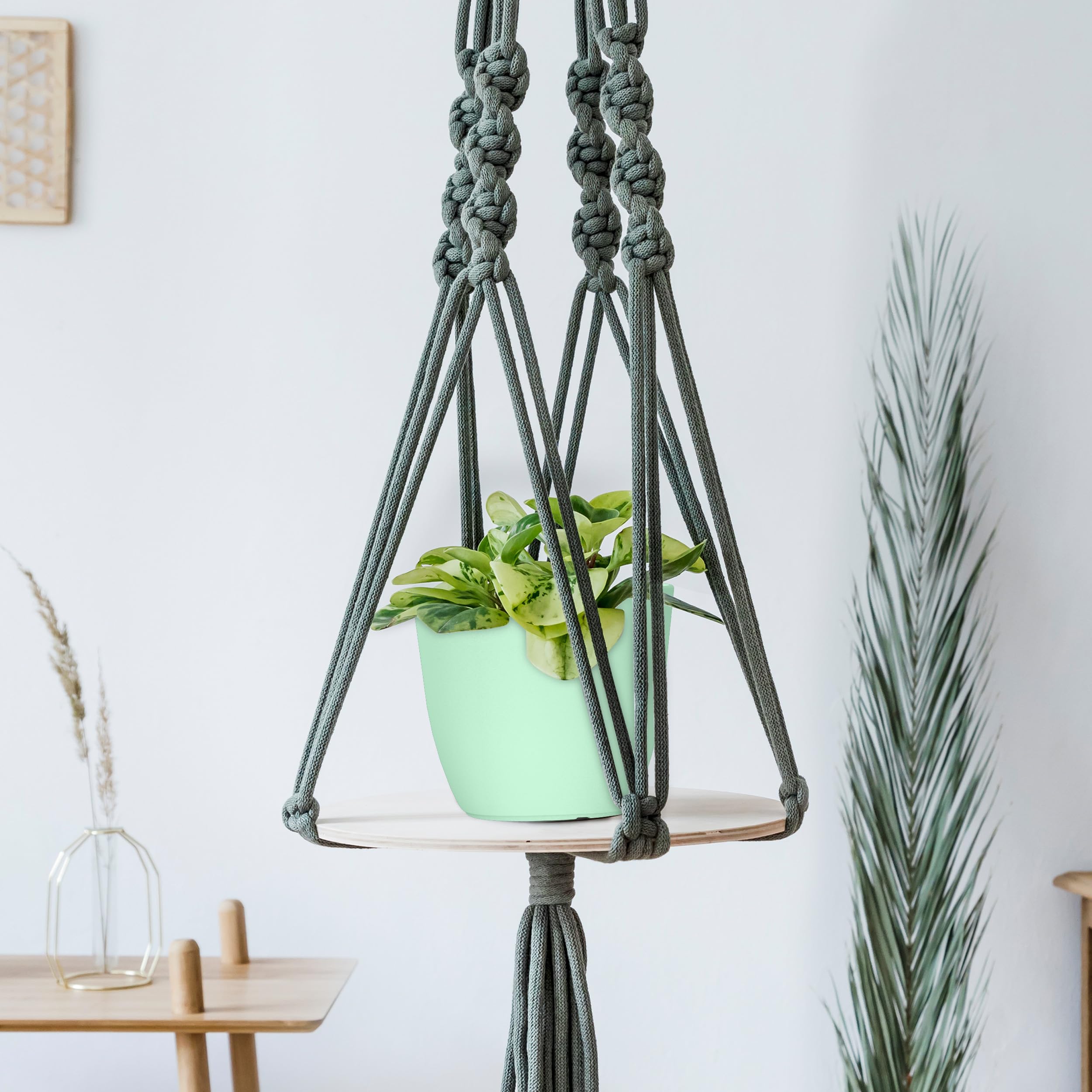 Utopia Home ambientación en salón con varias macetas mint dando estilo