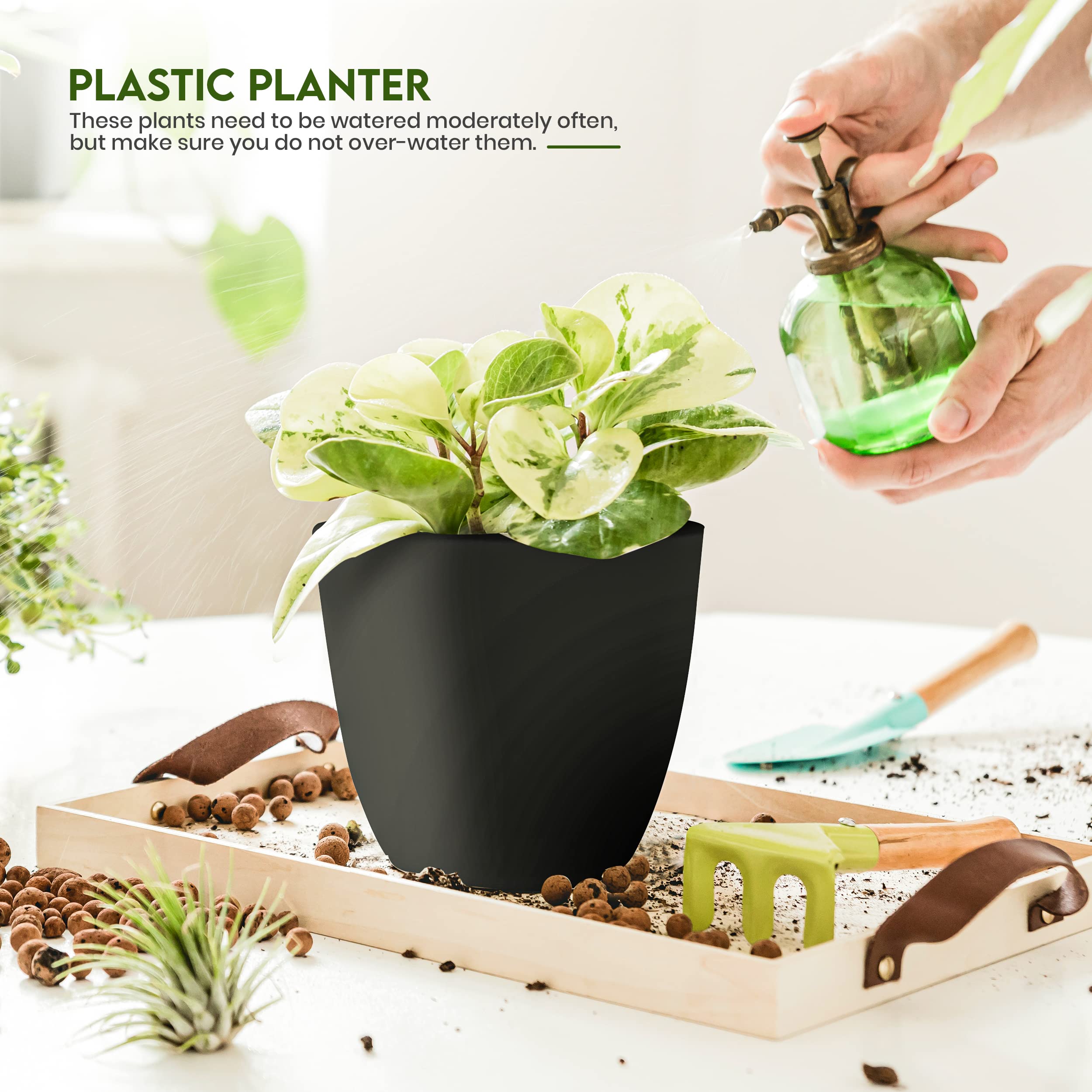 Utopia Home comparación de tamaños para elegir según la planta