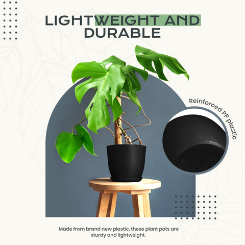 Maceta Utopia Home junto a plantas saludables demostrando soporte para raíces y estética