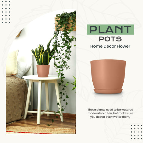 Utopia Home plato y sistema de drenaje con tapón extraíble, evita sobresaturación
