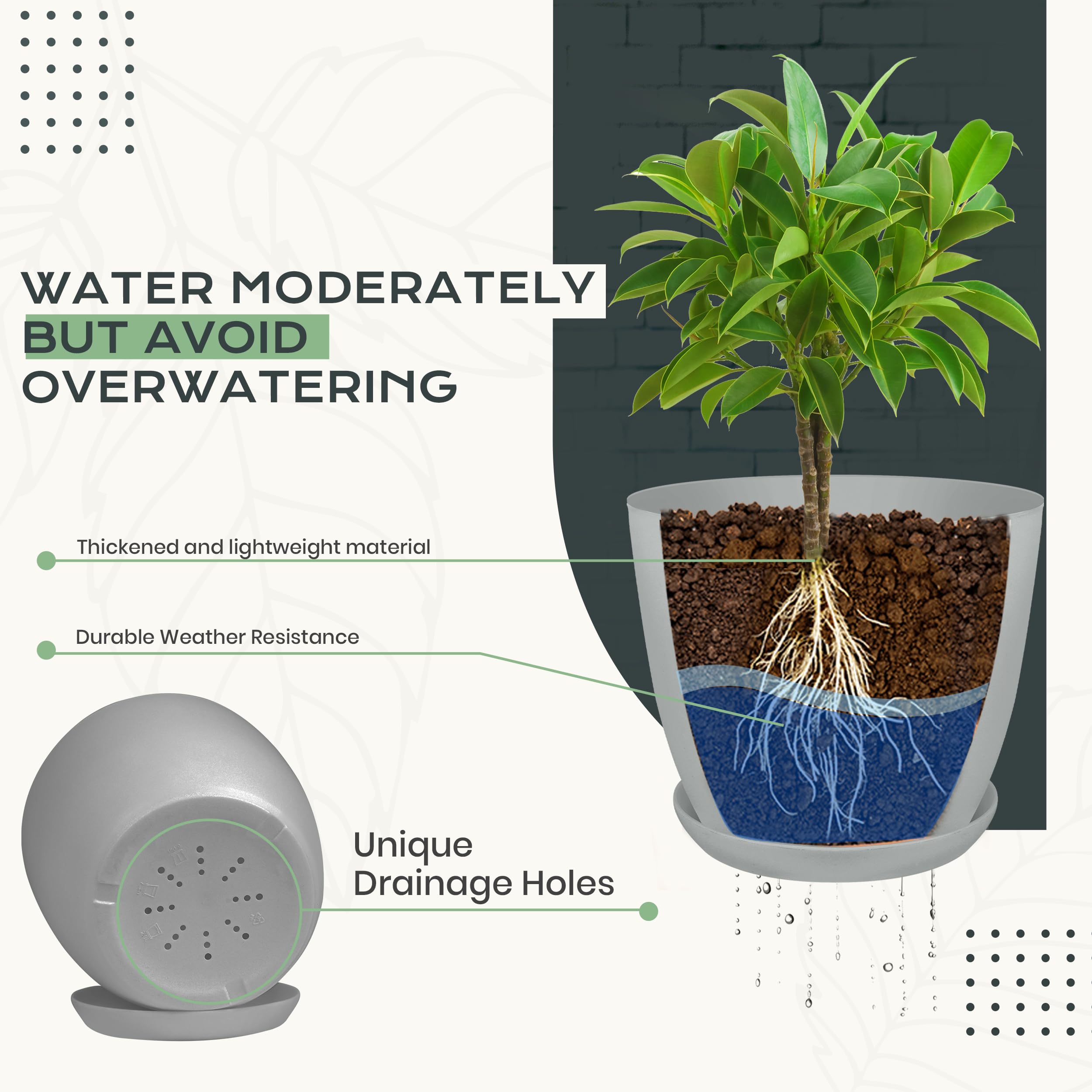 Utopia Home comparación de tamaños de macetas para elegir según cada planta