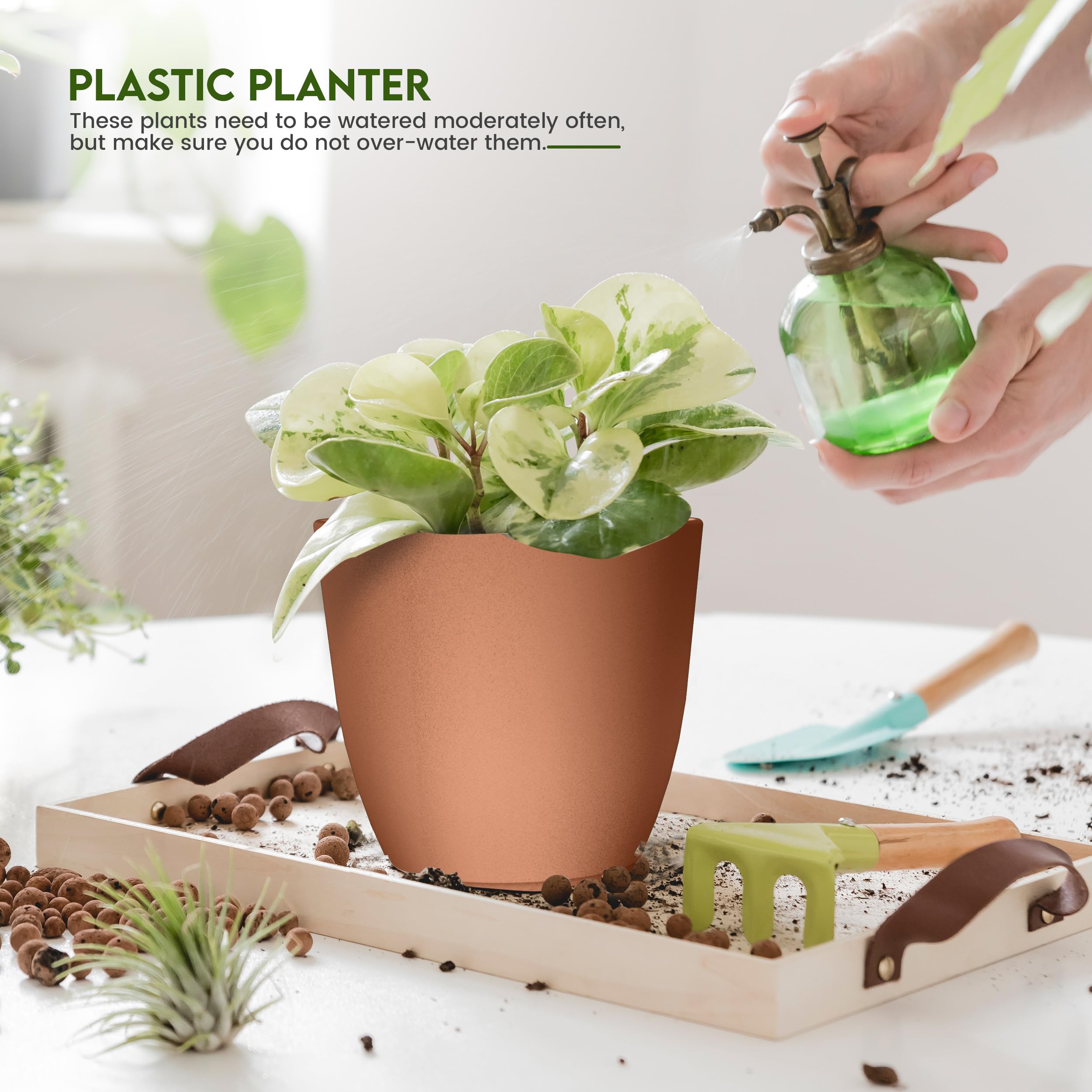 Utopia Home macetas en uso sobre repisa con plantas, facilita riego ordenado