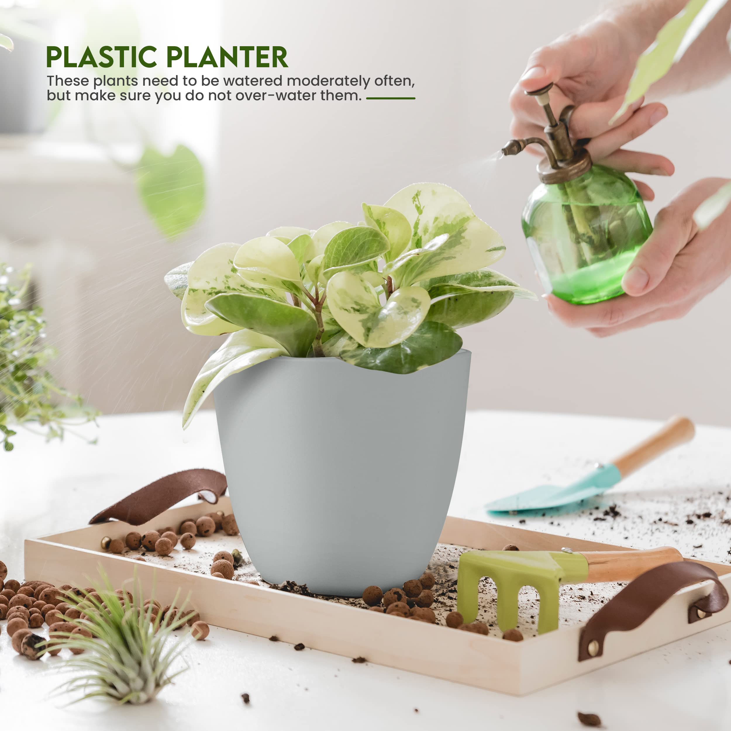 Utopia Home macetas en uso con planta herbácea para añadir verdor al interior