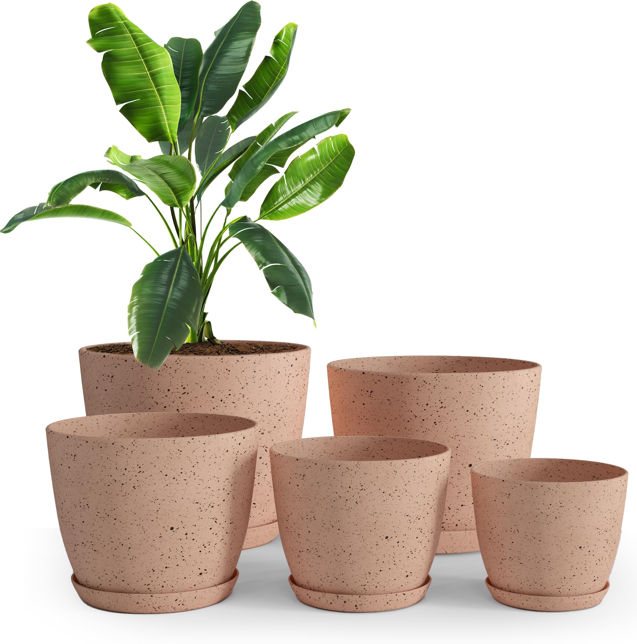 Utopia Home vista frontal del pack de 5 macetas rosa melocotón con drenaje, ideal para decorar