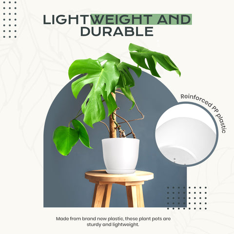 Utopia Home set empaquetado listo para regalo ideal para jardineros y hogares