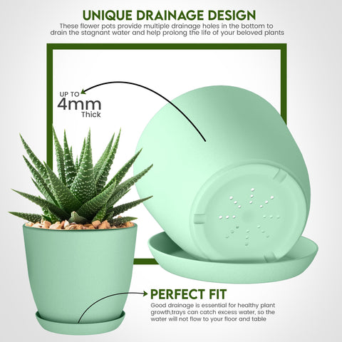 Utopia Home plato recogedor y sistema de drenaje mostrando protección de superficie