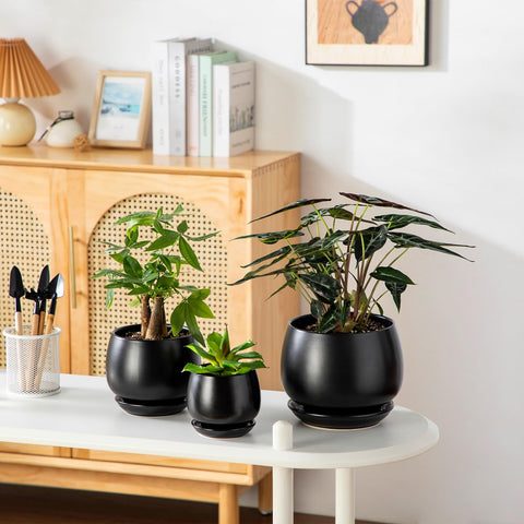 vancasso macetas en estantería con plantas, muestra estilo coordinado