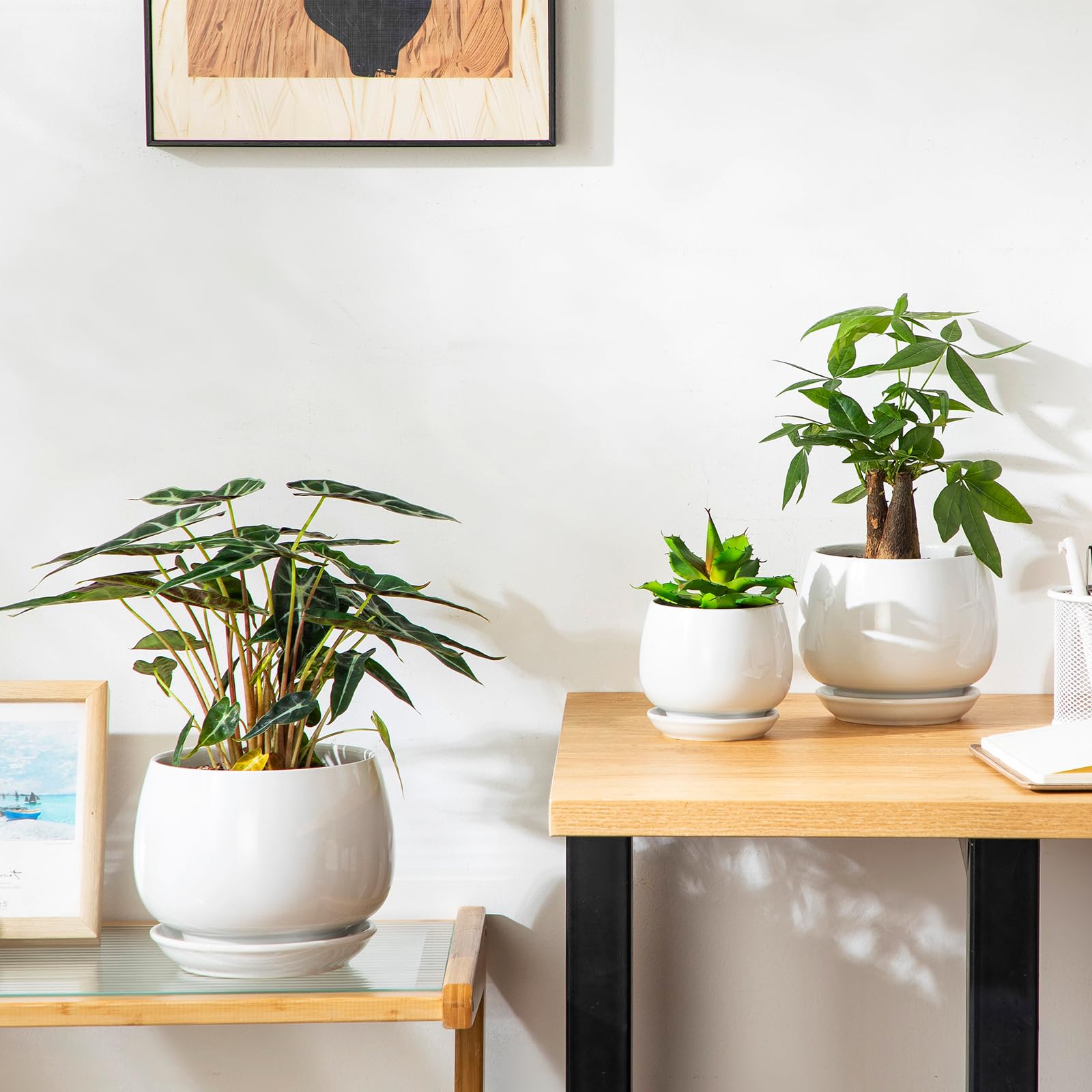 vancasso uso en estantería mejora decoración interior