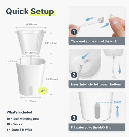 Vandorelle comparación tamaño tipo taza ideal para plántulas