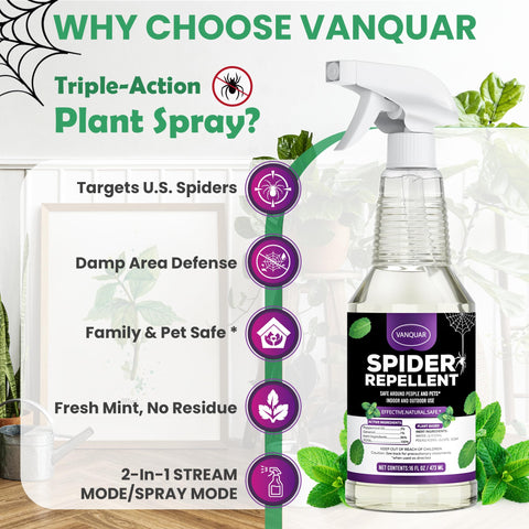 Vanquar etiqueta con lista de ingredientes naturales, claridad y confianza en uso