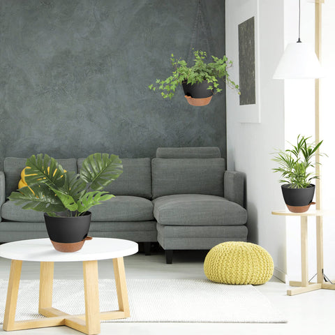 Vanslogreen maceta con suculentas realza decoración y facilita cuidado
