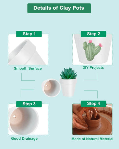 vensovo maceta plantada con suculenta mostrando uso decorativo
