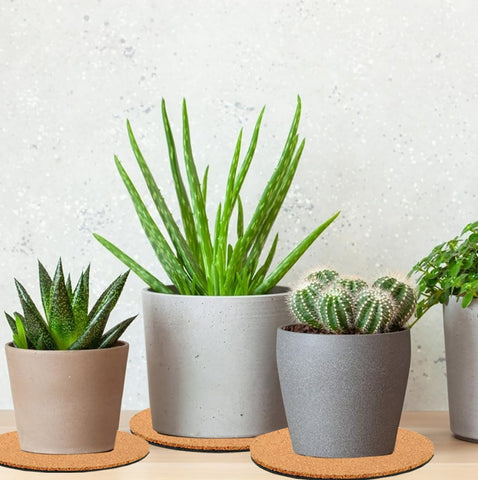 Posavasos Venyat pintados como proyecto DIY que personaliza la decoración