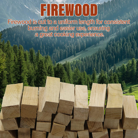 VERSAWOOD llamas controladas que ofrecen calor constante y brasas duraderas