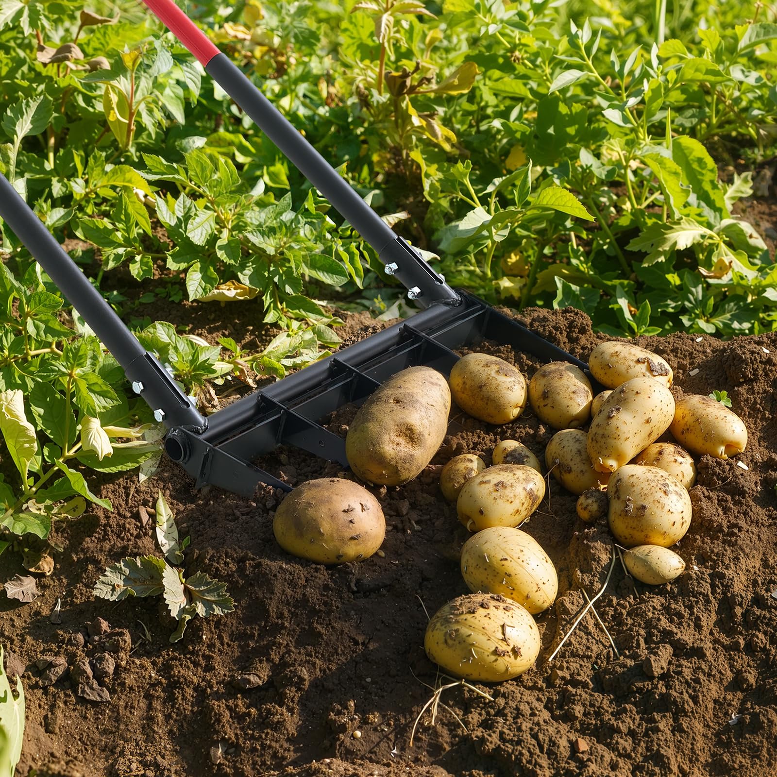 VEVOR uso en huerto trasplantando plantas con menos esfuerzo