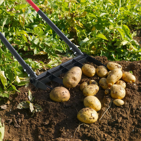 VEVOR uso en huerto trasplantando plantas con menos esfuerzo