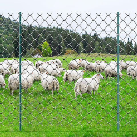 VEVOR fila de postes alineados delimitando camino, aspecto profesional