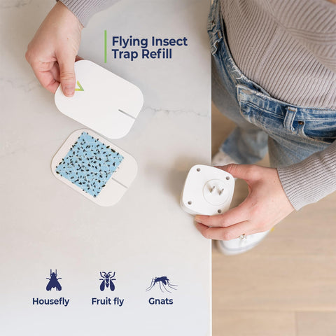VEYOFLY recarga junto a una moneda para comparar tamaño