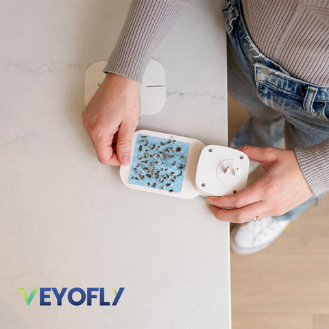 VEYOFLY placas con insectos atrapados, aspecto discreto