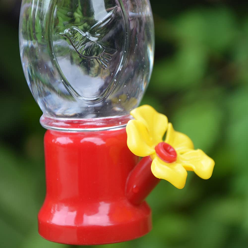VIMOA colibrí alimentándose en el comedero demostrando eficacia