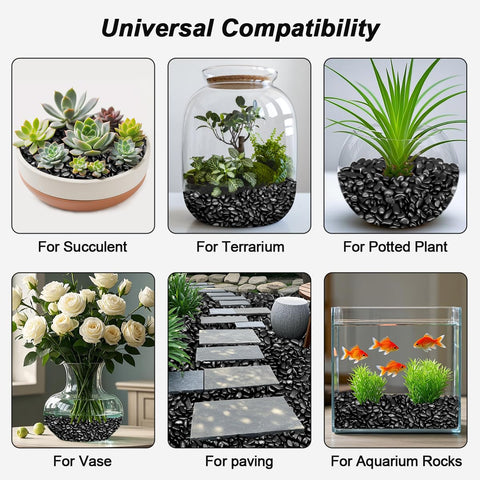 Virekm guijarros en sendero decorativo embellece jardín pequeño