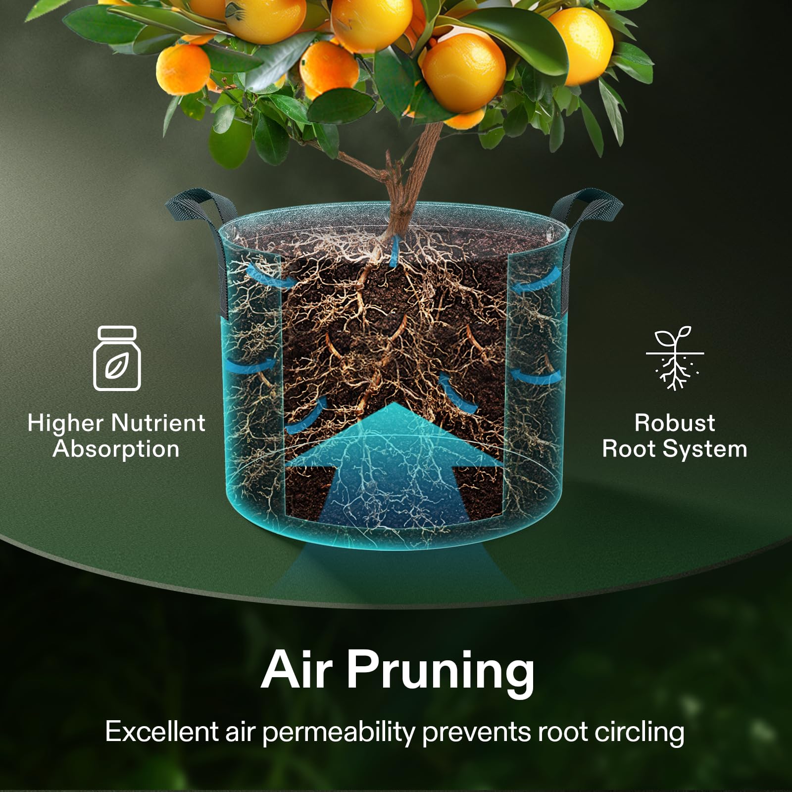 VIVOSUN bolsa de cultivo en uso sobre balcón optimizando luz y espacio de siembra