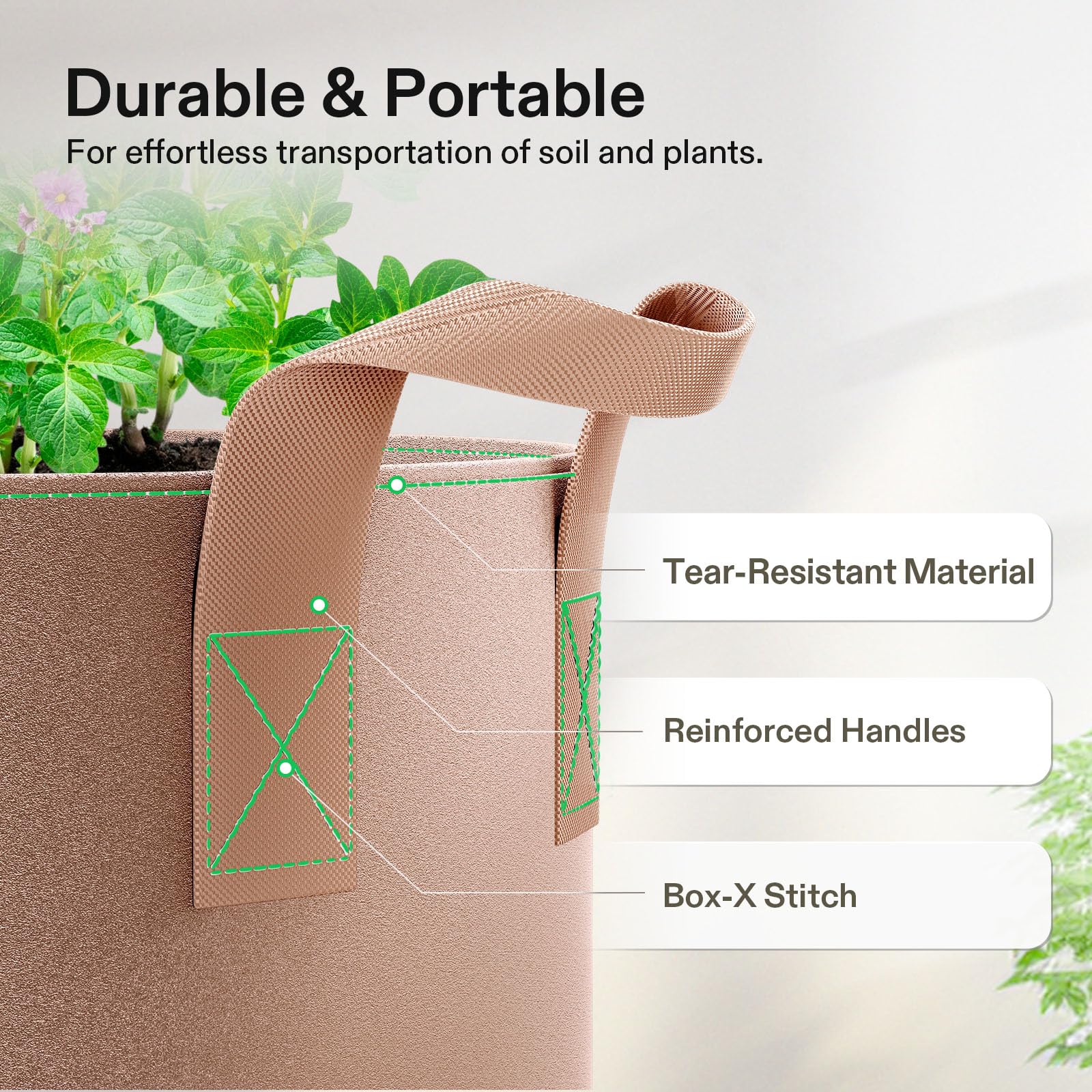 VIVOSUN comparación de tamaño 10 gallon junto a una regadera para escala