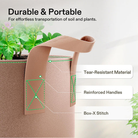 VIVOSUN comparación de tamaño 10 gallon junto a una regadera para escala
