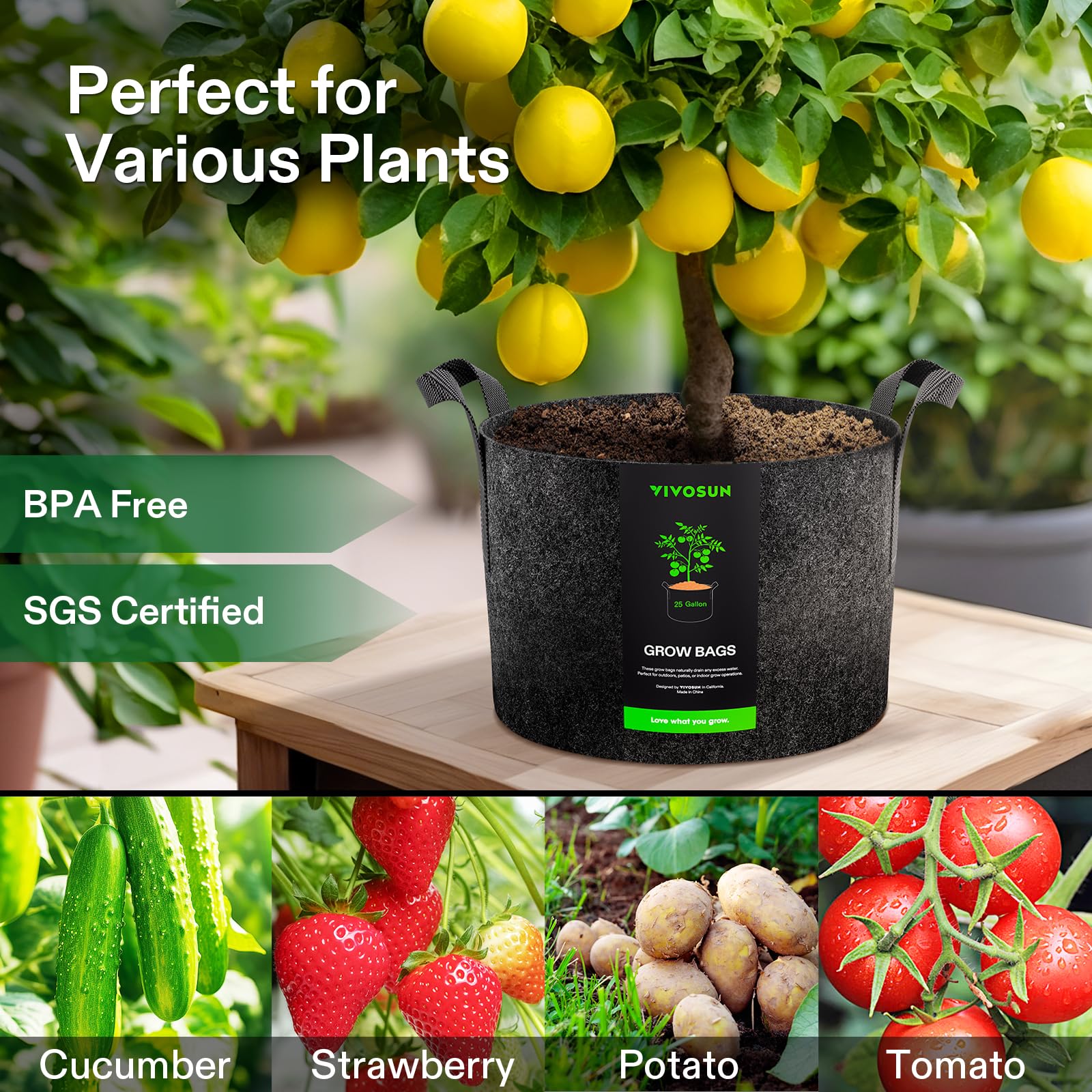 VIVOSUN ambiente de terraza con bolsas usadas en cultivo urbano