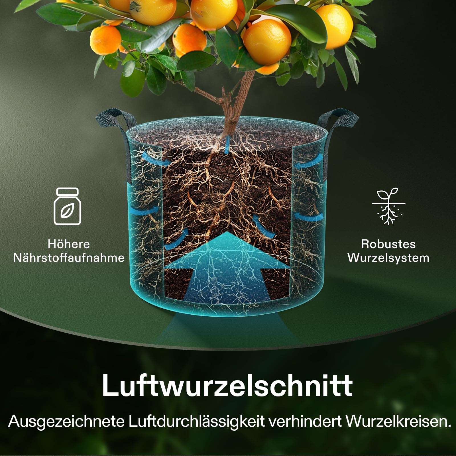 VIVOSUN bolsa con planta en terraza optimizando espacio y luz
