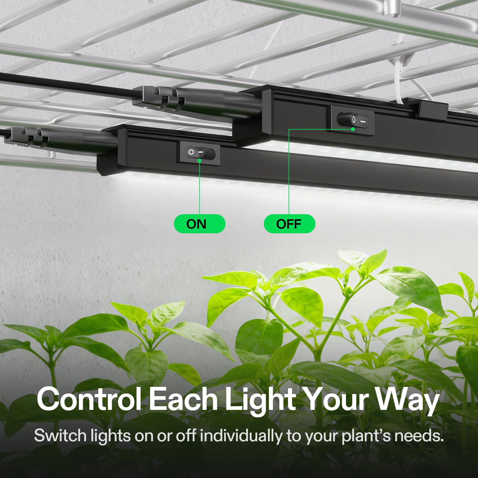 VIVOSUN instalación colgada con cable para posicionar luz sobre plantas