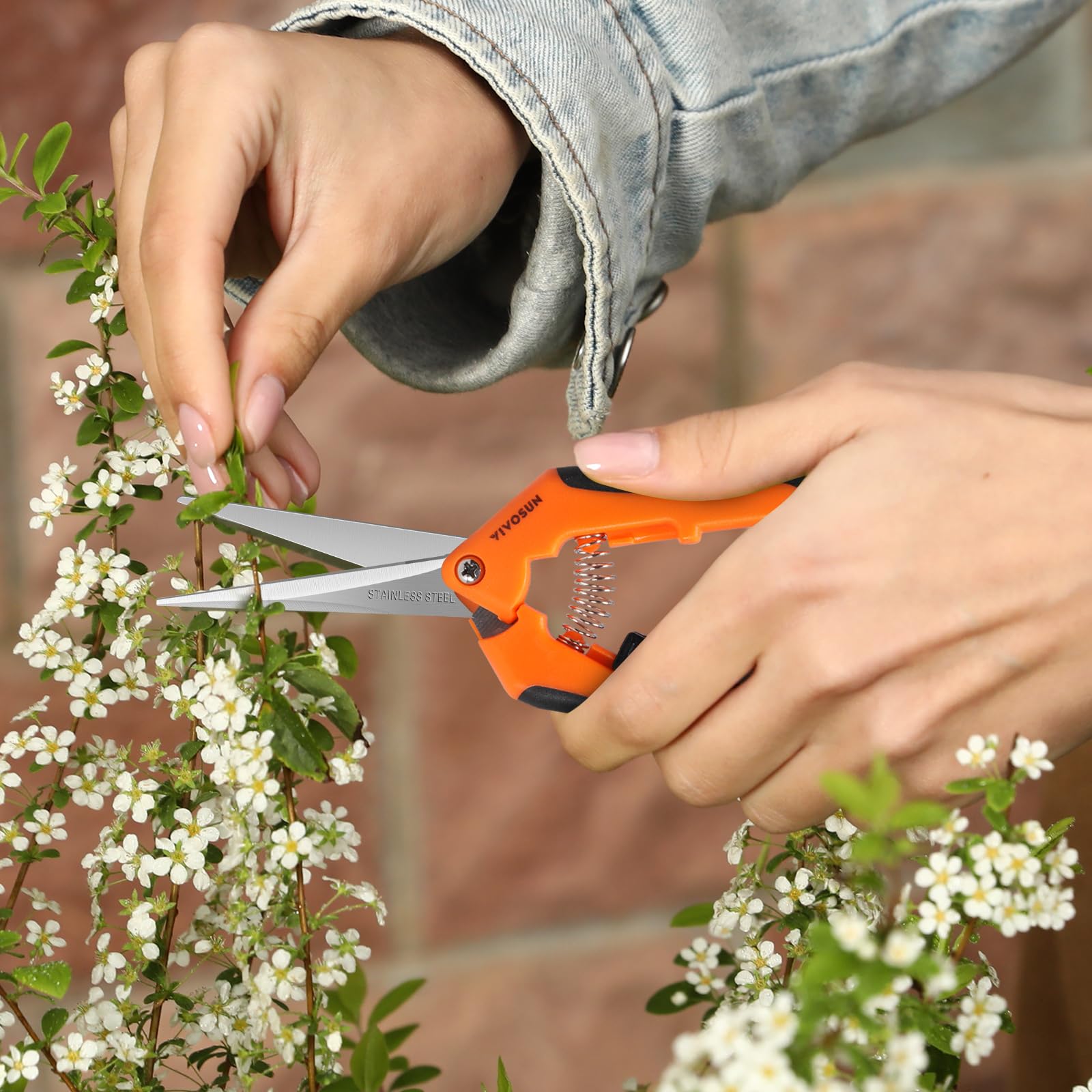 VIVOSUN paquete de seis tijeras, conveniencia para jardín y taller
