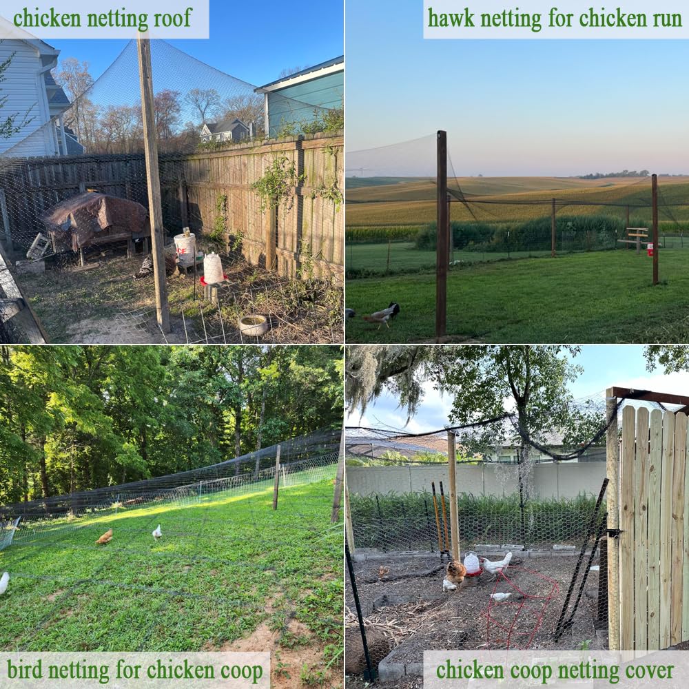 Vocray malla instalada en gallinero evitando entradas de depredadores