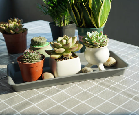 VUWEZ bandeja en alféizar con plantas, estética discreta y funcional