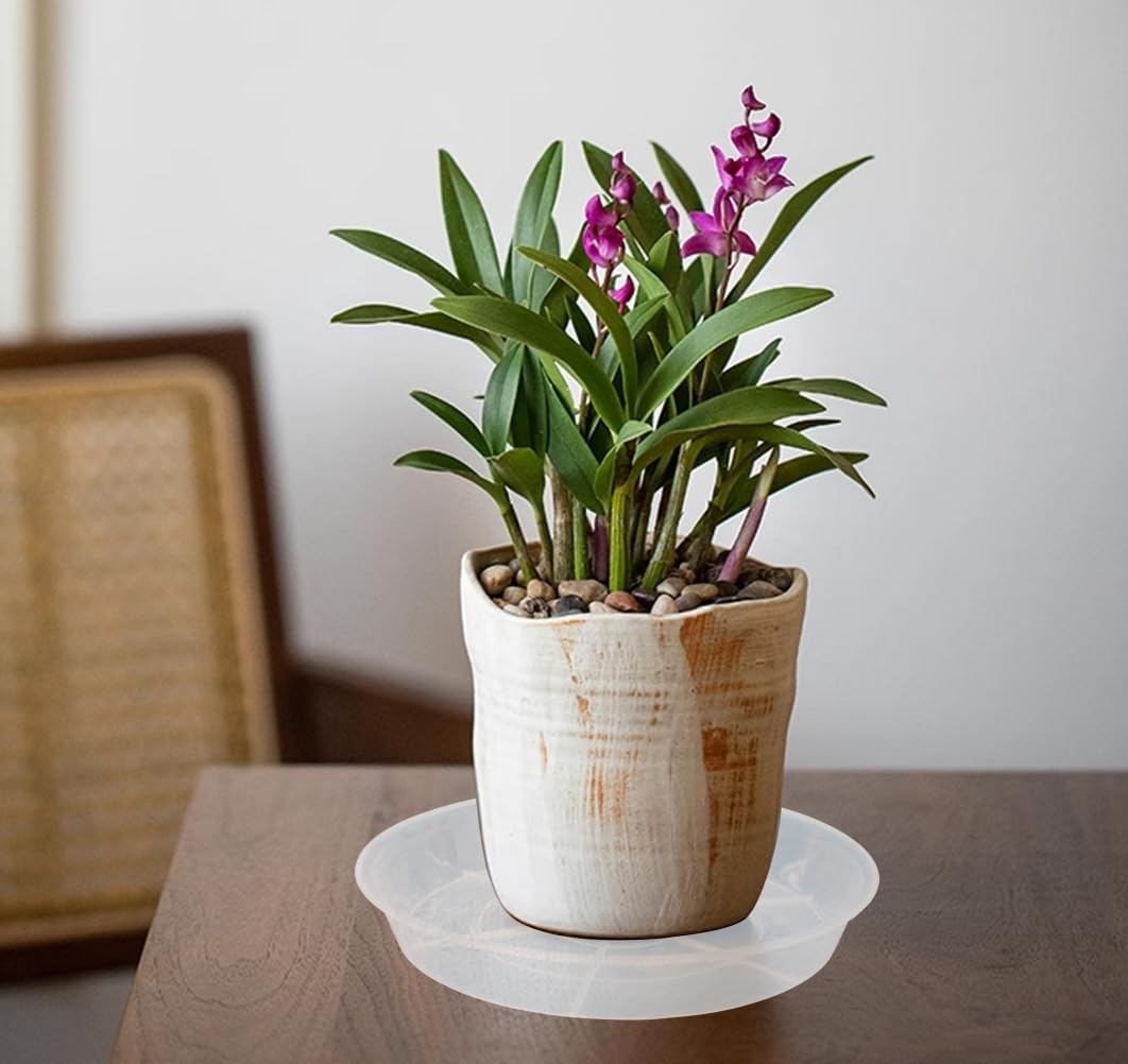 VUWEZ plato en salón con planta destacando estética y protección