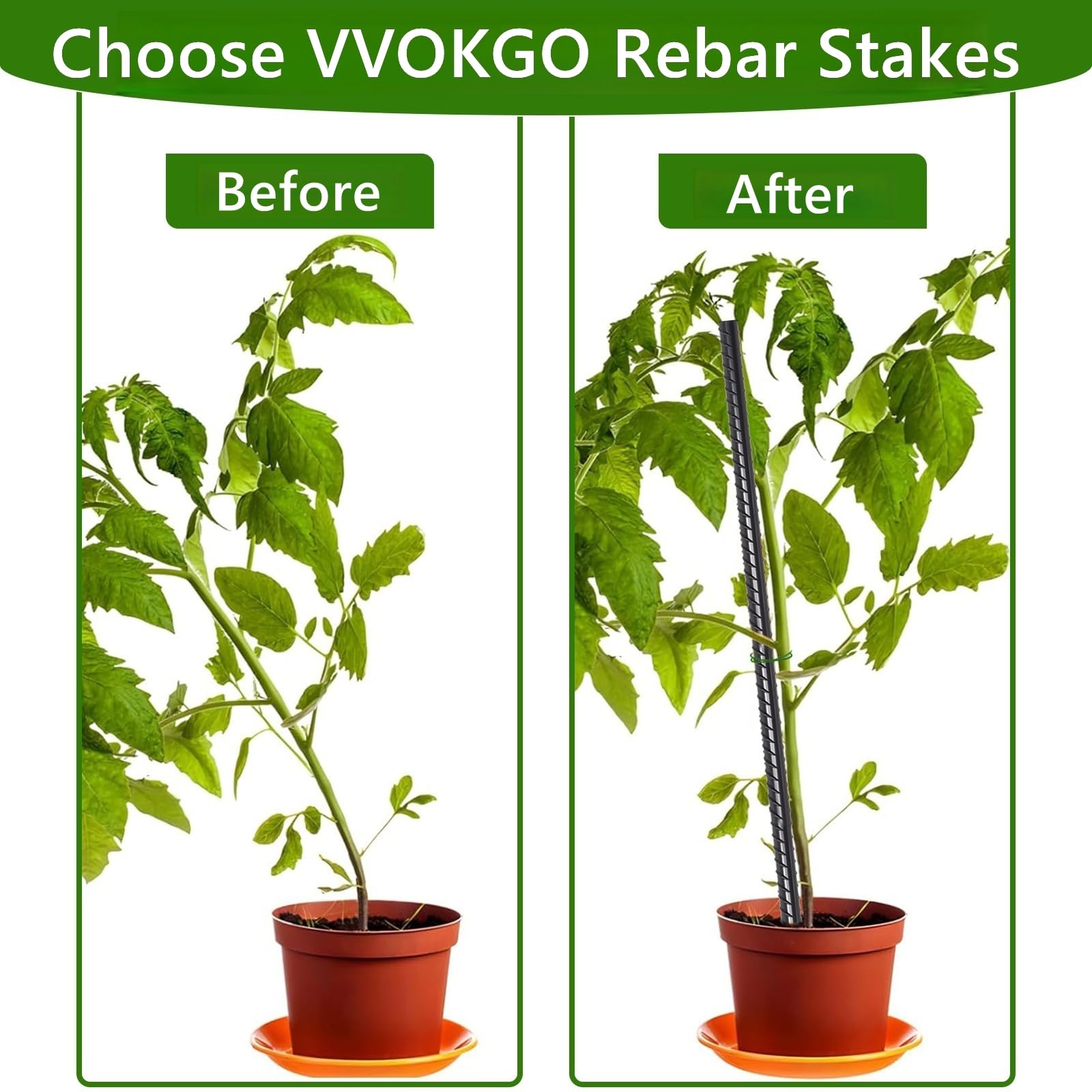 VVOKGO estaca junto a mano y cinta métrica para escala clara