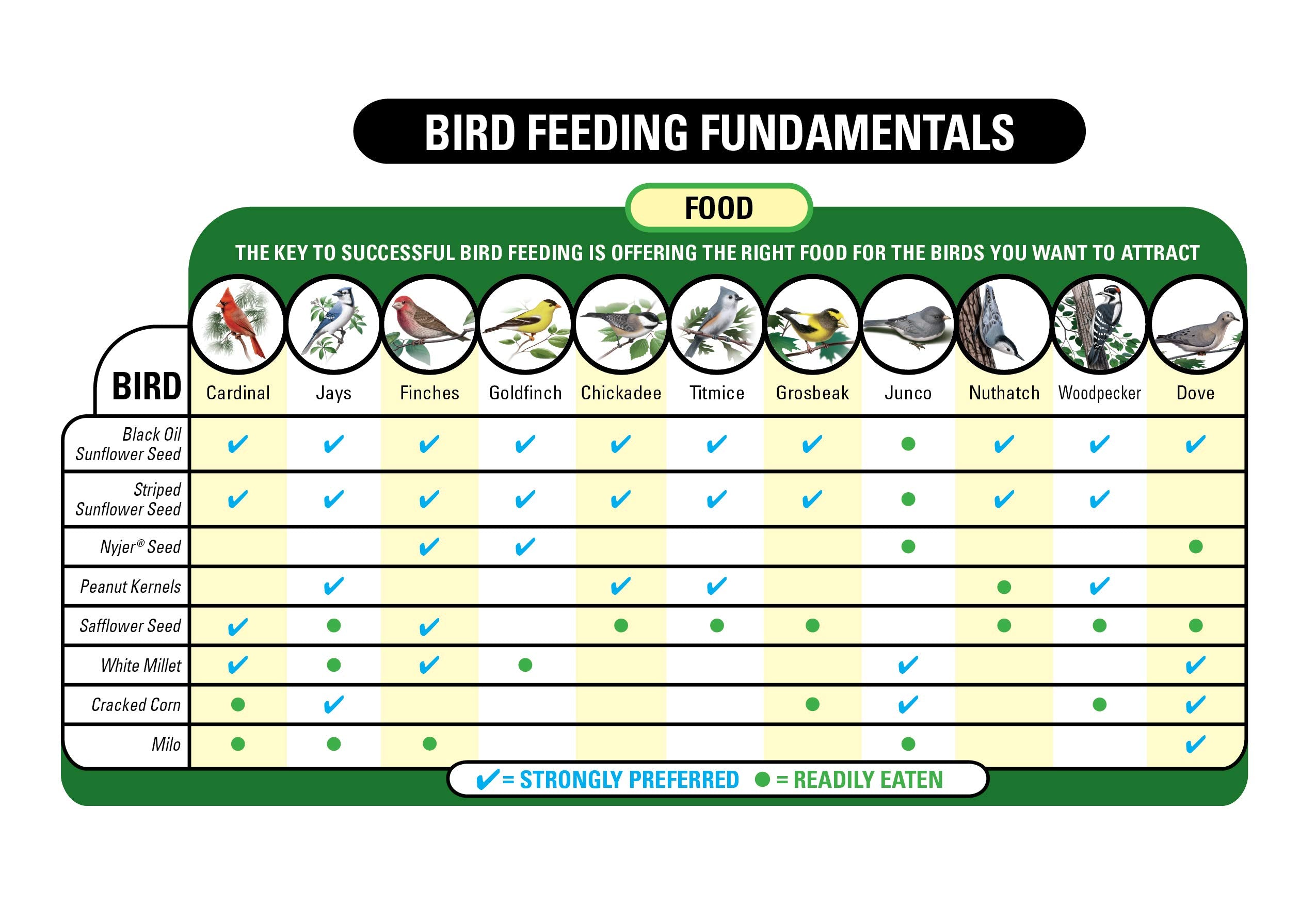 Wagner's plataforma con aves diversas, aumenta la variedad de visitas