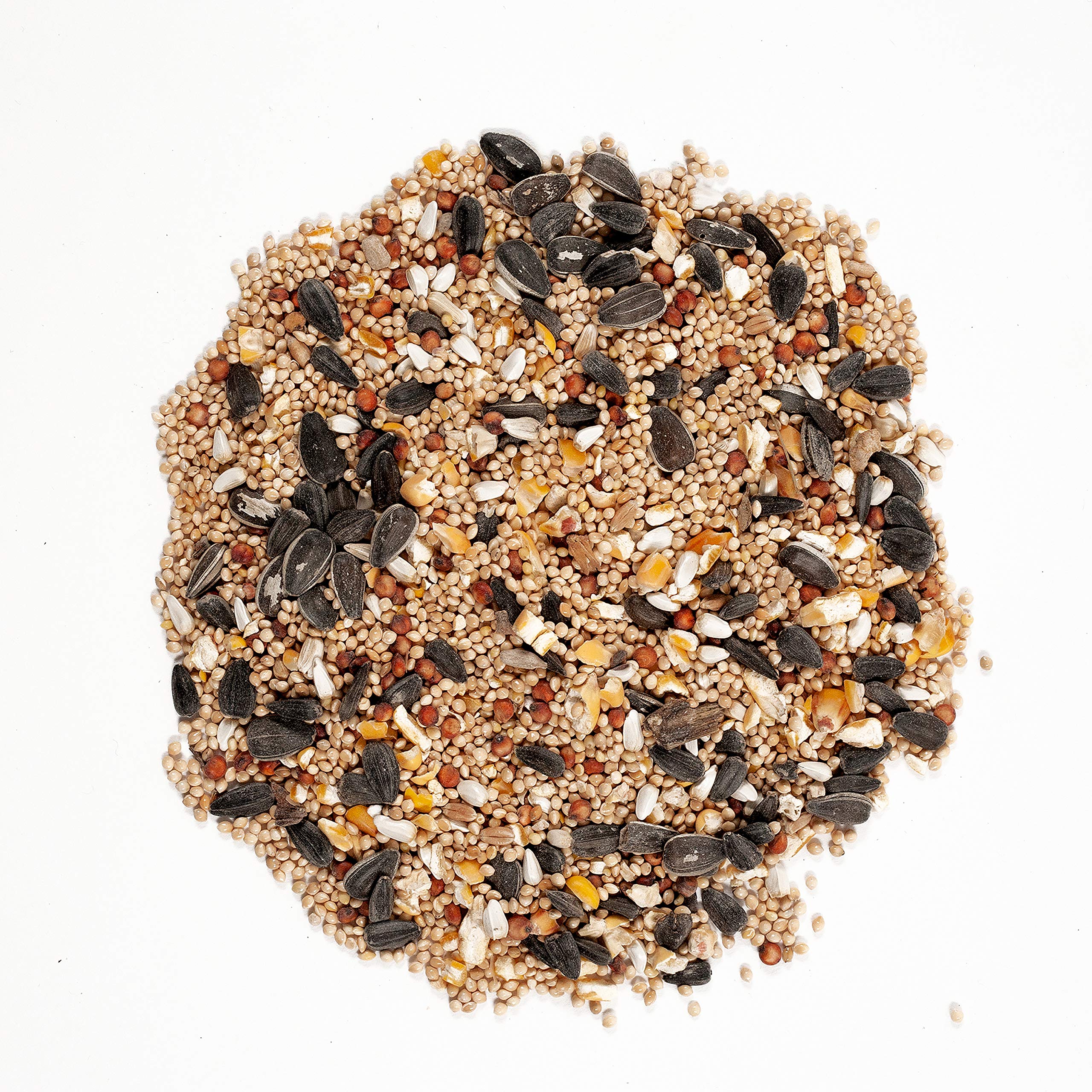Wagner's textura del girasol negro con alto contenido de aceite energético