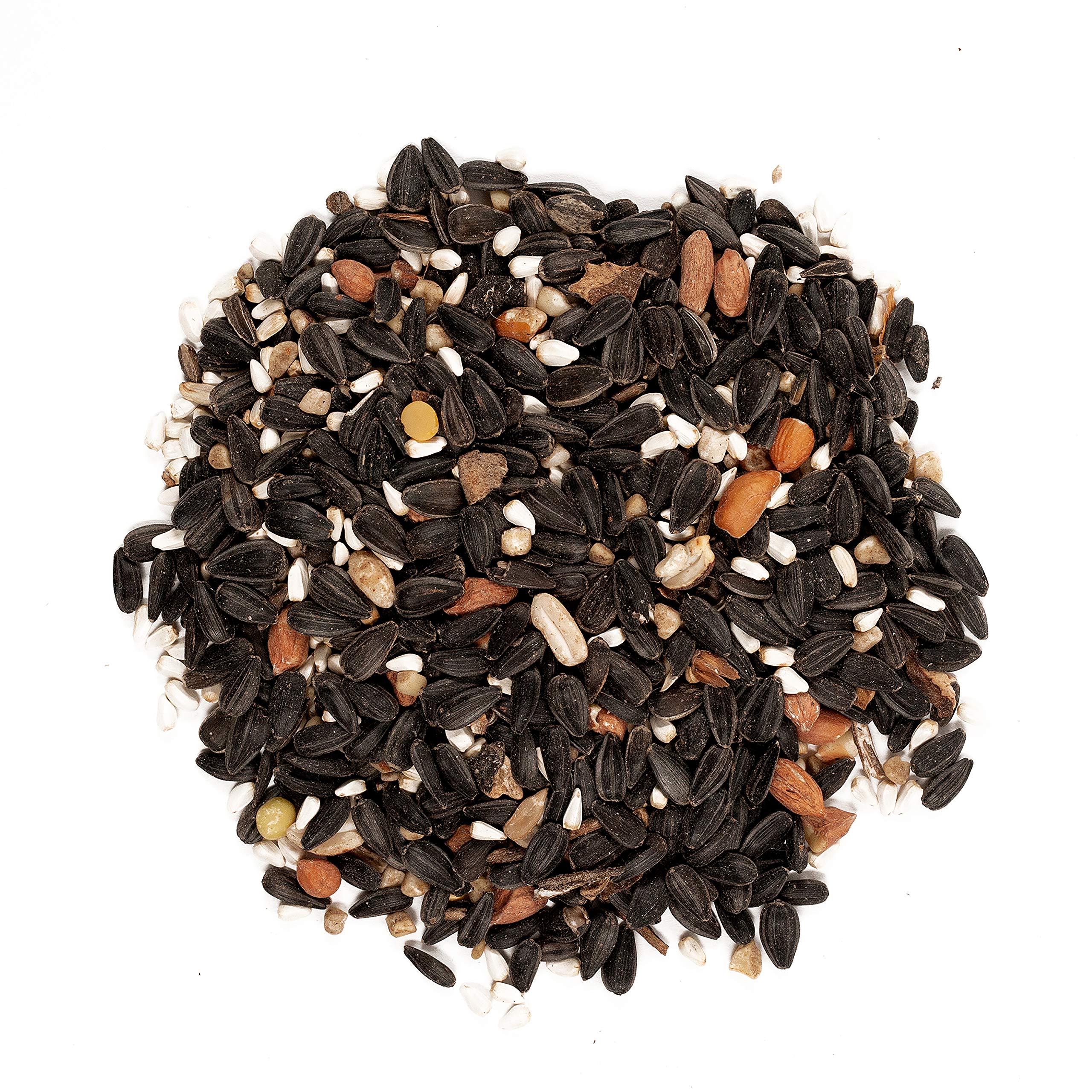 Wagner's detalle de textura con semillas y nueces, atractivo y nutritivo