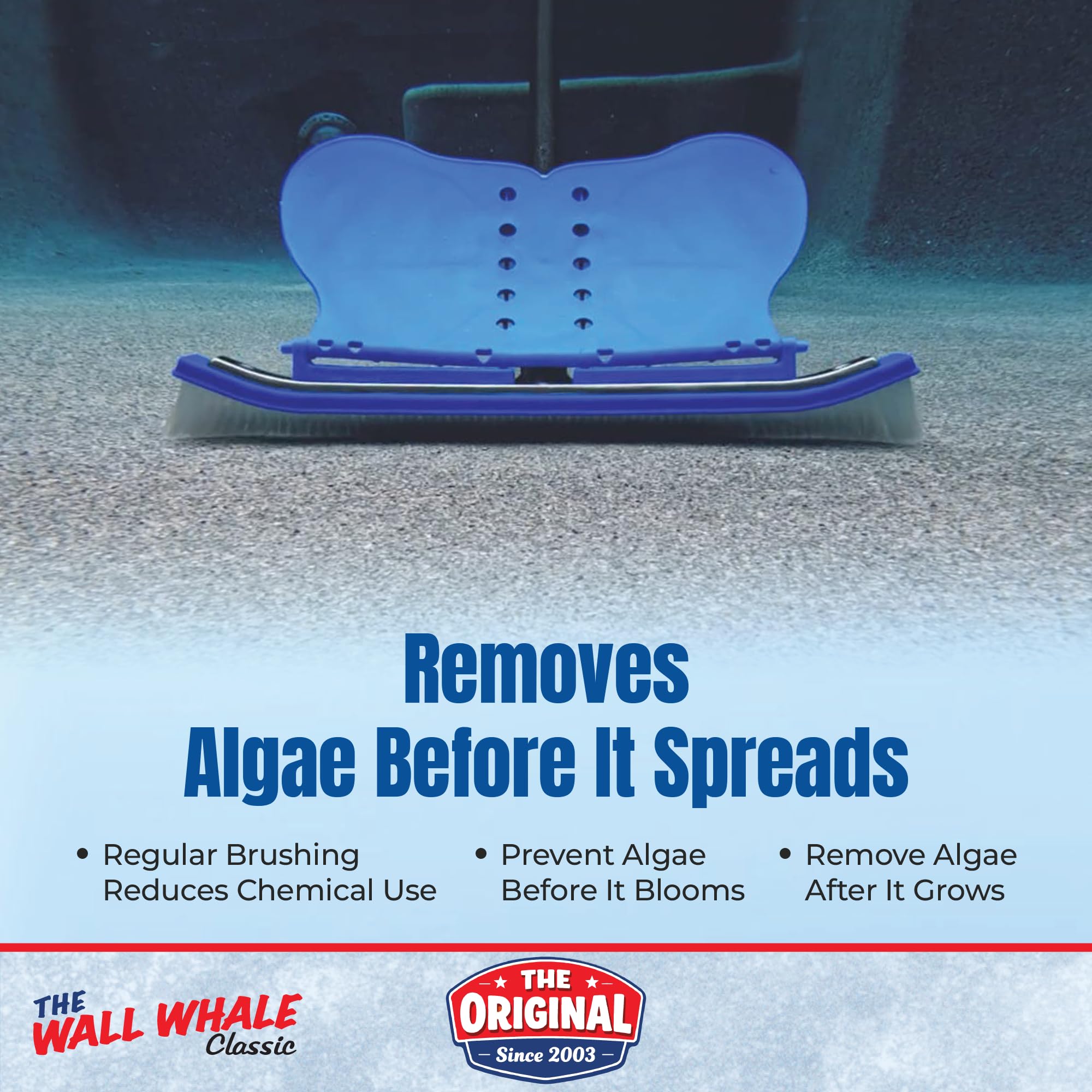 Wall Whale en uso en pared de piscina removiendo algas eficazmente