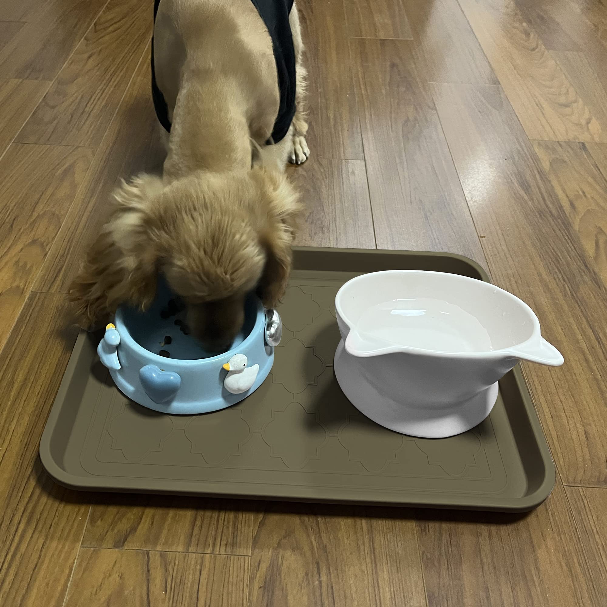 WATANIYA PET bandeja junto a objeto para mostrar tamaño práctico