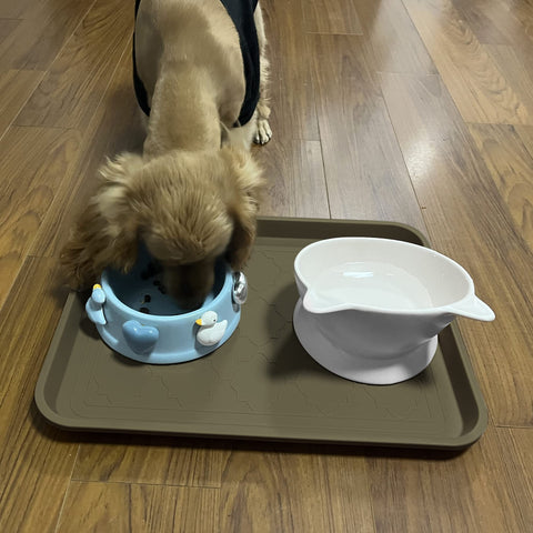 WATANIYA PET bandeja junto a objeto para mostrar tamaño práctico